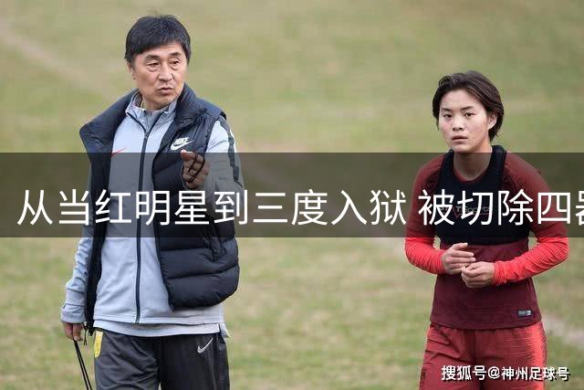 从当红明星到三度入狱 被切除四器官的她如今境遇令人唏嘘