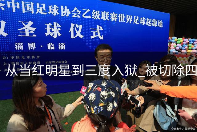 从当红明星到三度入狱 被切除四器官的她如今境遇令人唏嘘